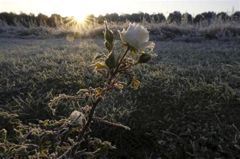 zelfmoordcijfers wereldwijd|Wereldwijd bijna 800.000 zelfdodingen per jaar 